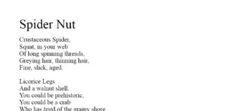 Spider Nut, a Poem from Landscapes and Hearts by K. S. Moore.