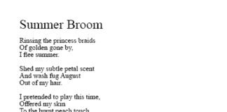 Poem: 'Summer Broom' by K. S. Moore from the 2008 collection 'A Flower Girl's Tears', published by Young Welsh and Poetic. Second edition by K. S. Moore, 2011.