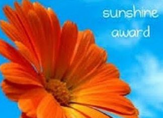 Orange Sunflower used as the emblem of the Sunshine Award for Blogging