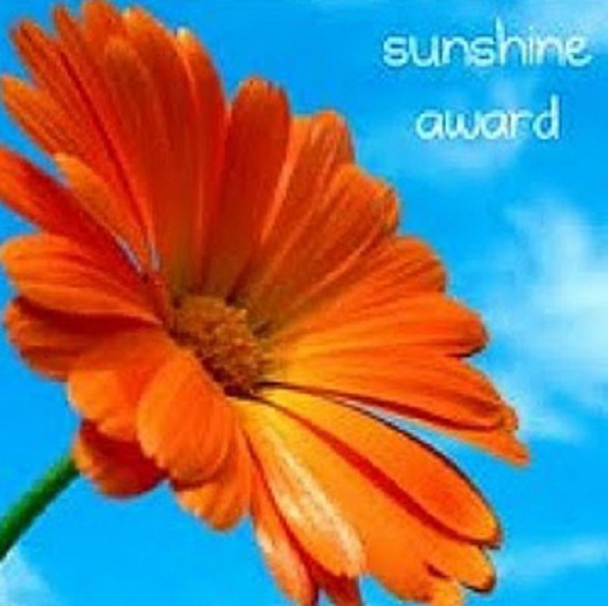 All Smiles here: The Sunshine Award for Blogging