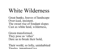'White Wilderness' an atmospheric snow poem inspired by The Brecon Beacons, from the K. S. Moore Poetry Collection: 'Landscapes and Hearts'.