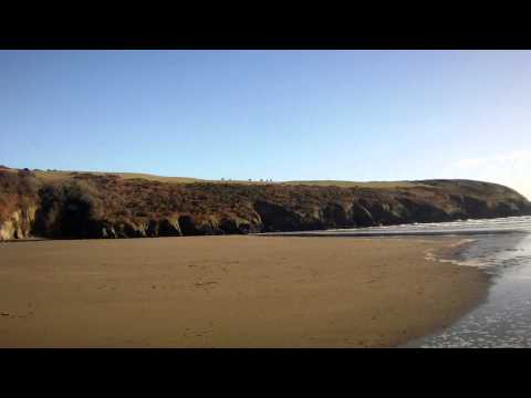 The Seaside Explorers at Stradbally