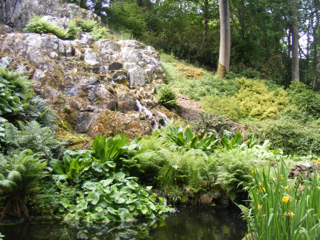 Waterfall at Mount Congreve.