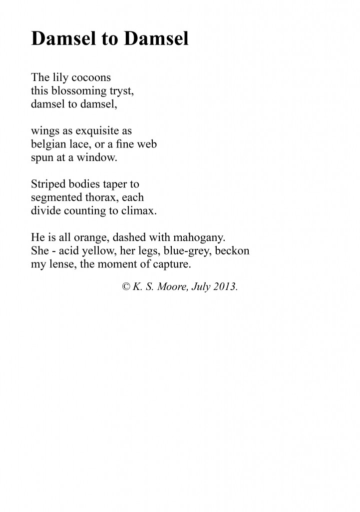 'Damsel to Damsel', a poem written by K. S. Moore