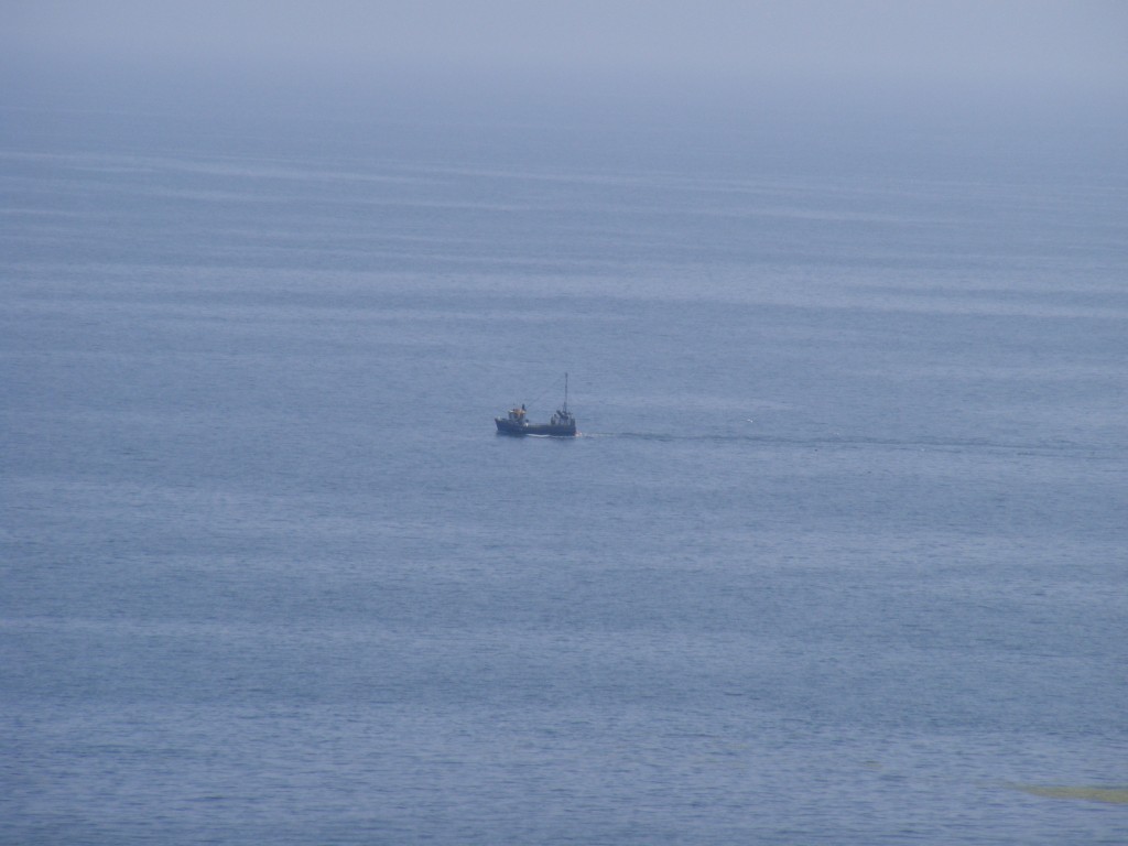 Fishing boat, spotted near Kilmurrin Cove, County Waterford.