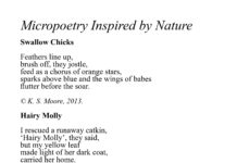 A selection of nature inspired micropoetry, by K. S. Moore.
