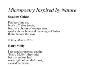 A selection of nature inspired micropoetry, by K. S. Moore.
