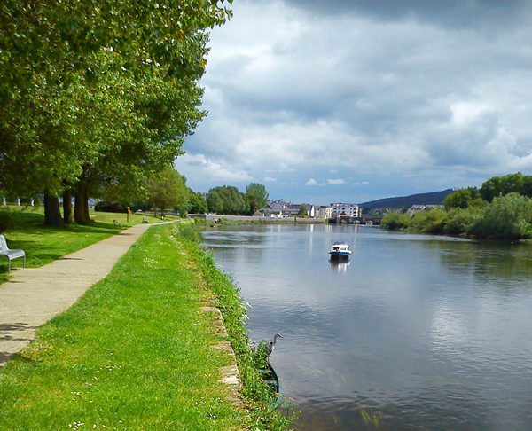 Stunning riverside scene at Carrick-on-Suir, complete with heron.