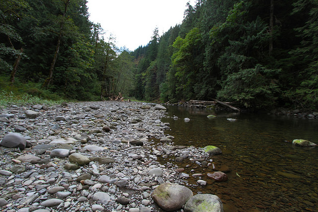 River Walking in Kilmacthomas