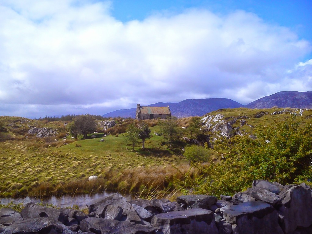 Connemara scene.