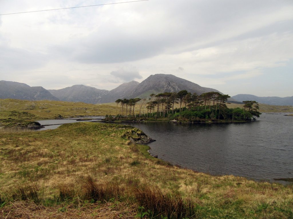 Island of trees against background of mountains in Connemara.