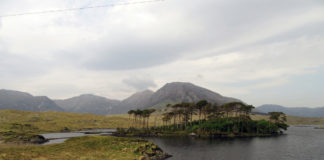 Island of trees against background of mountains in Connemara.