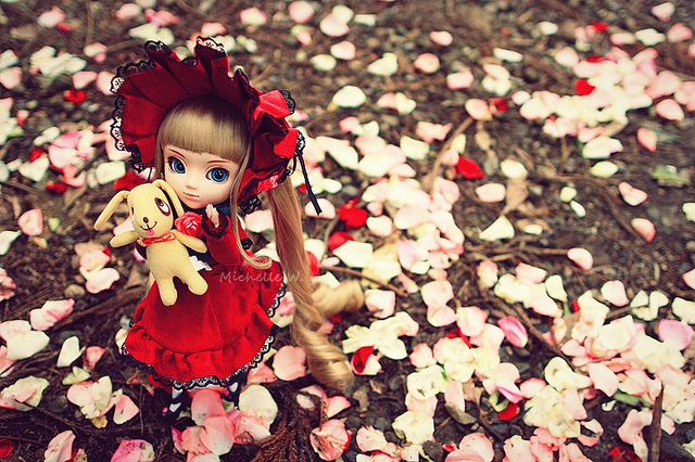 Doll and Petals