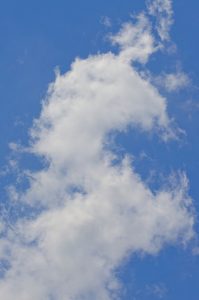 Unicorn shaped cloud.