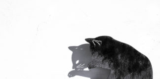 Cat shadow on the wall.