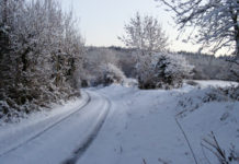 Snowy path.