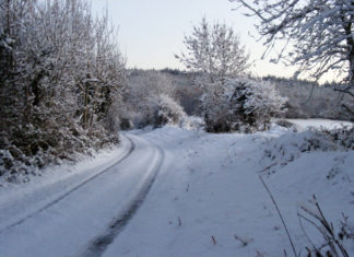 Snowy path.