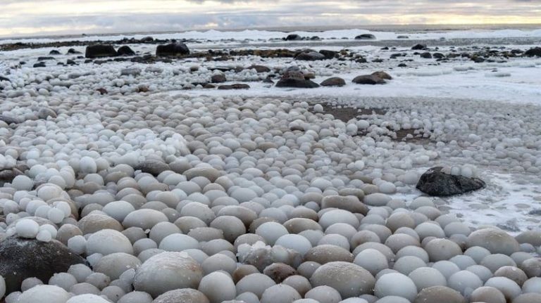 Ice balls piling up on a Finnish beach