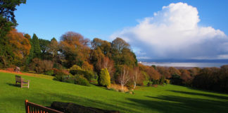 Sea View from Clyne Gardens